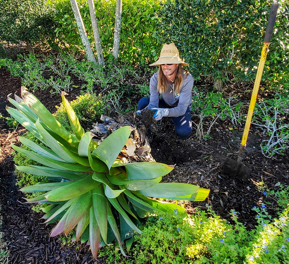 GL Homes donates flowers and plants.