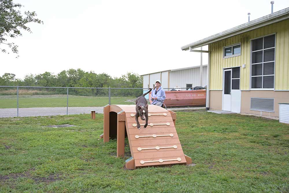 GL Homes supports the Humane Society of St. Lucie County and Woof & Wag Agility Course. 